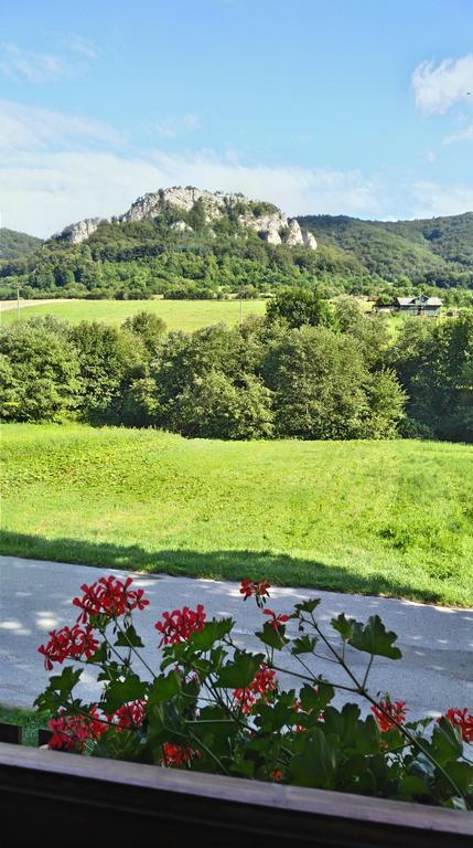 Penzion Manin Povazska Bystrica Luaran gambar
